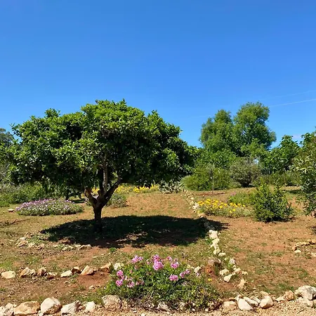 Quinta Do Coala - Spacious Countryside Orchard House & Cottage, 10 Min From Lagos